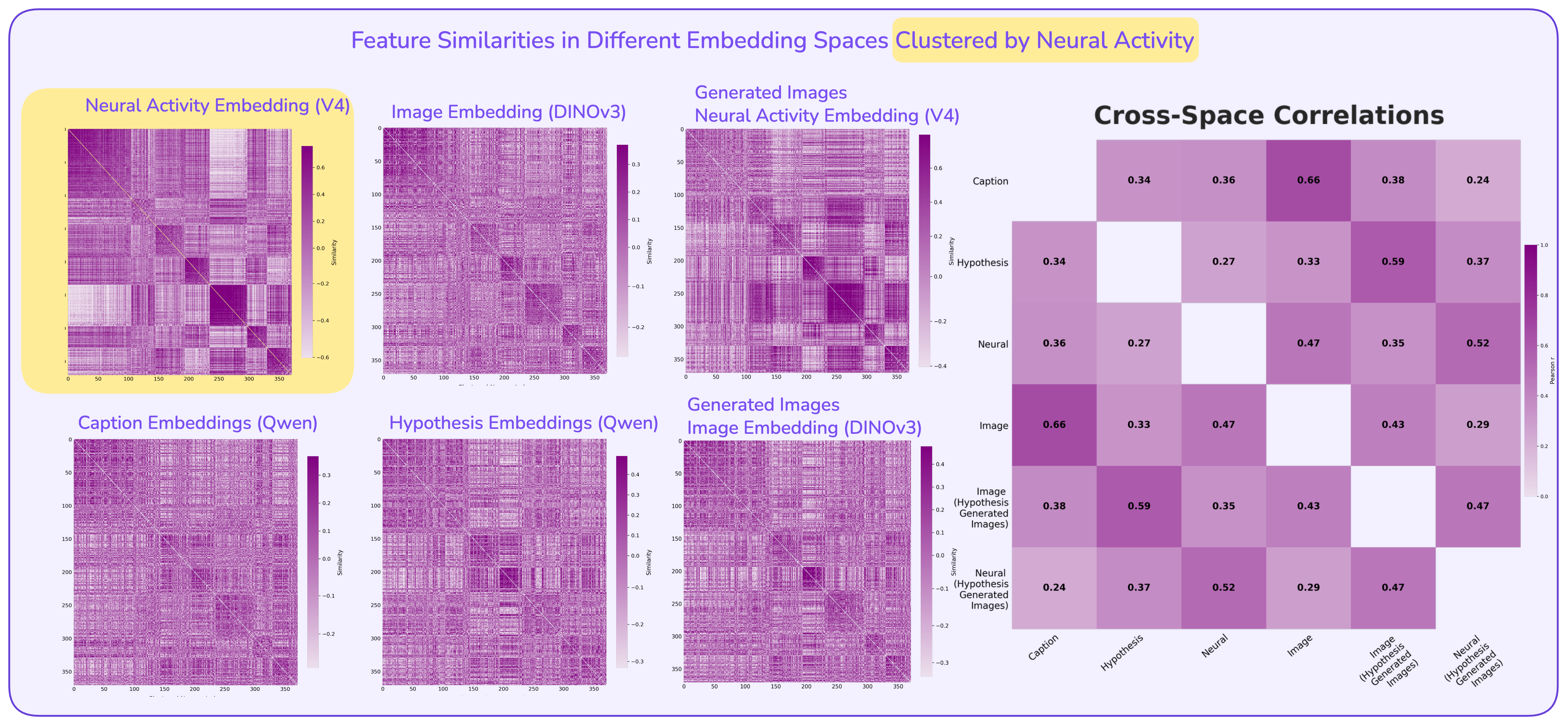 V4 cross-modal alignment RSA