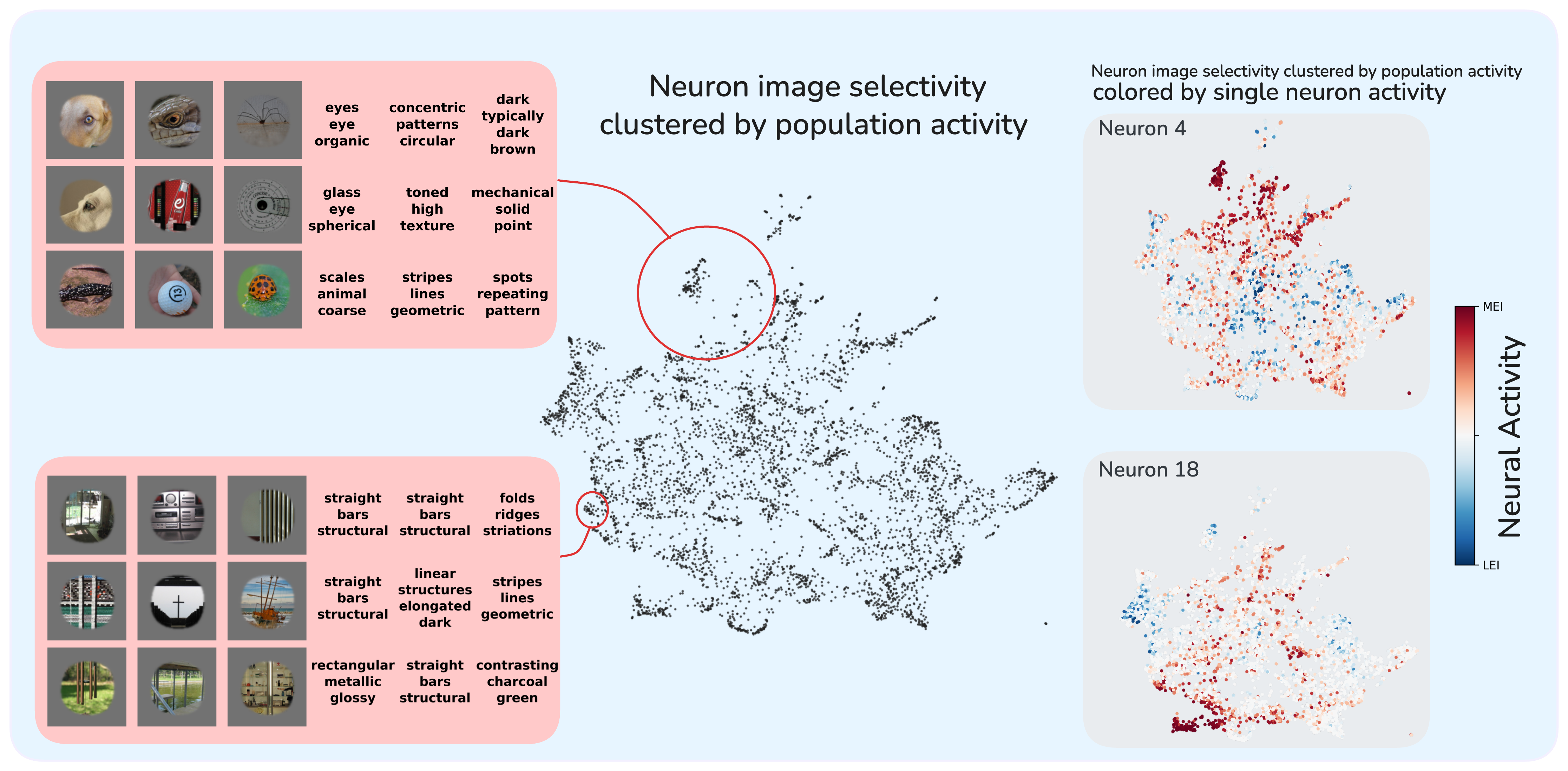 UMAP semantic clustering