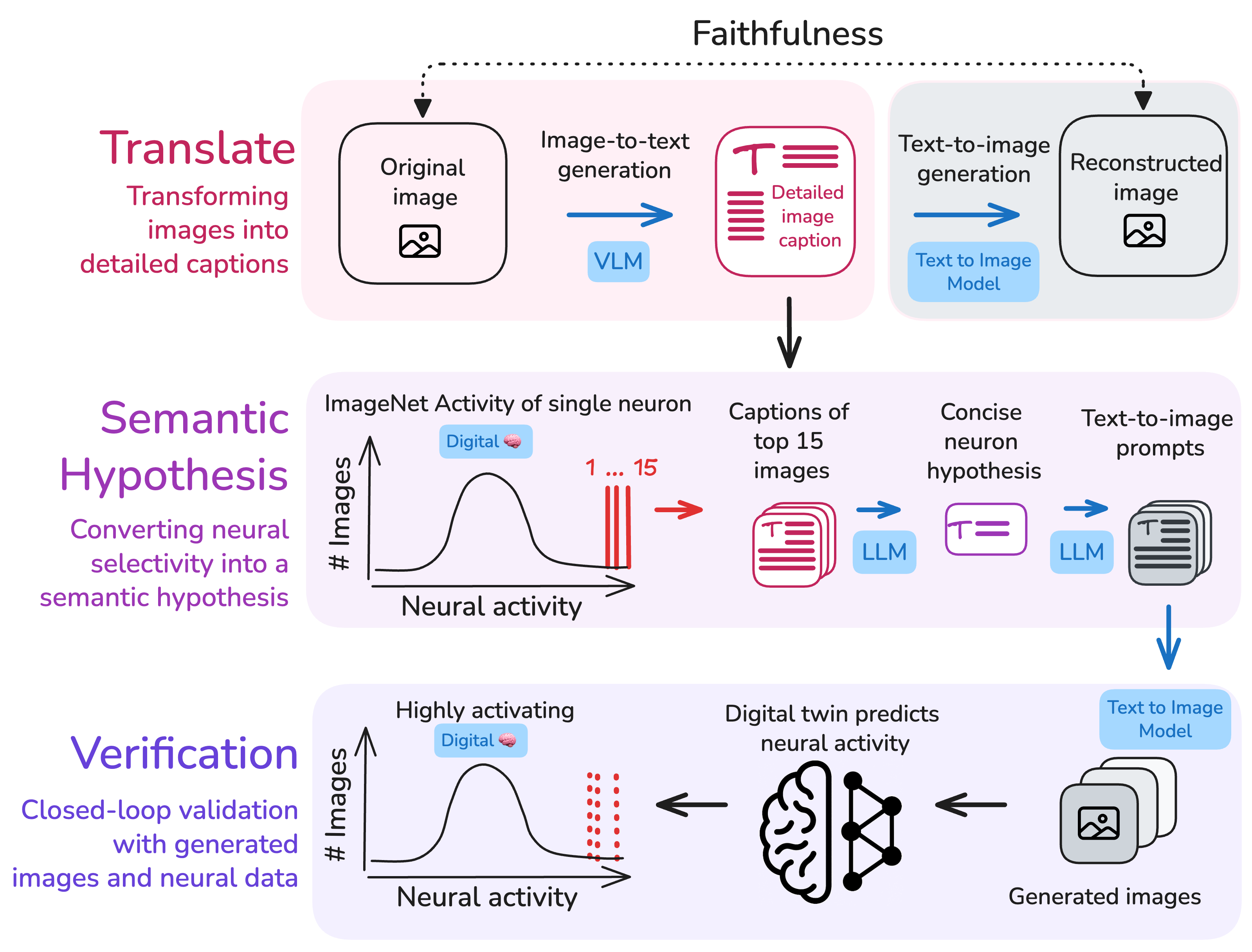 Full pipeline overview: Translate, Hypothesize, Verify
