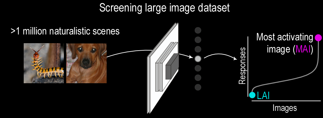 Digital twin architecture and screening pipeline
